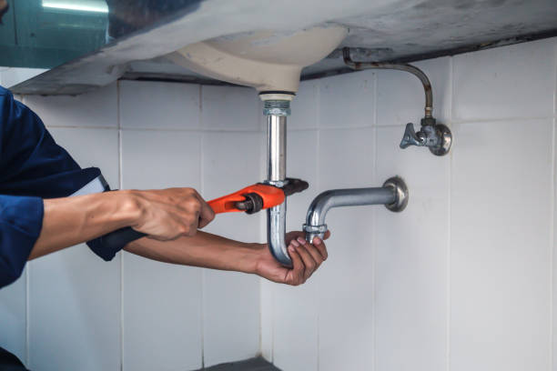 Best Plumbing Services Near Me  in Citrus Hills, FL